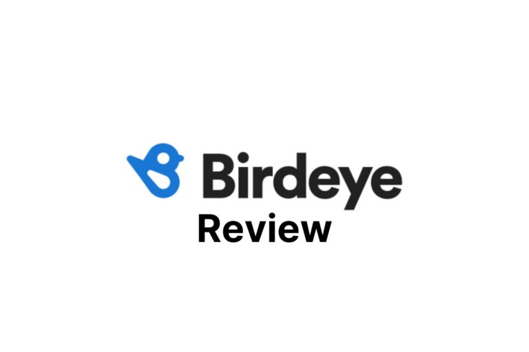 Birdeye Review