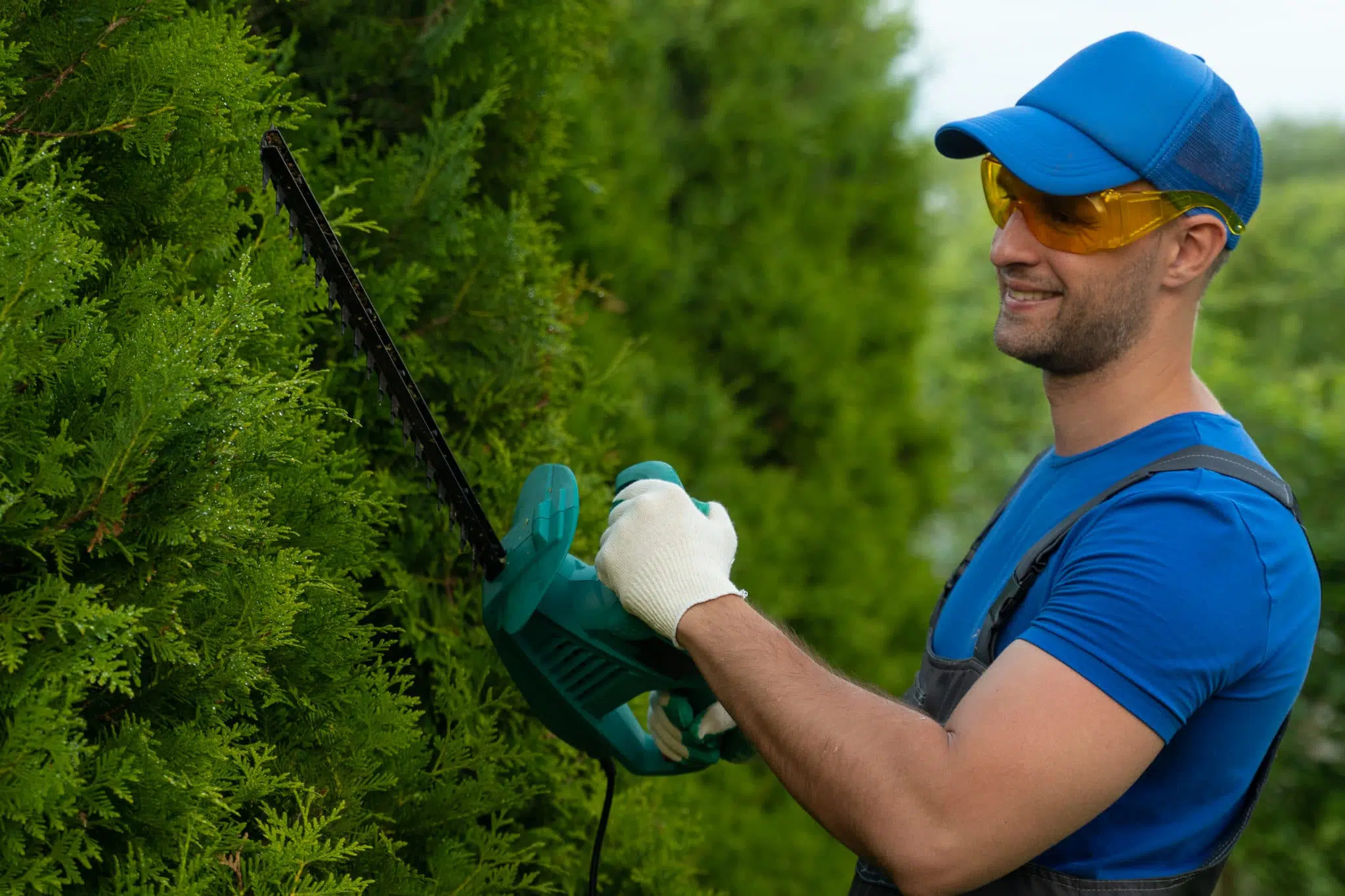 Landscape Tree Trimmer Job Description Template