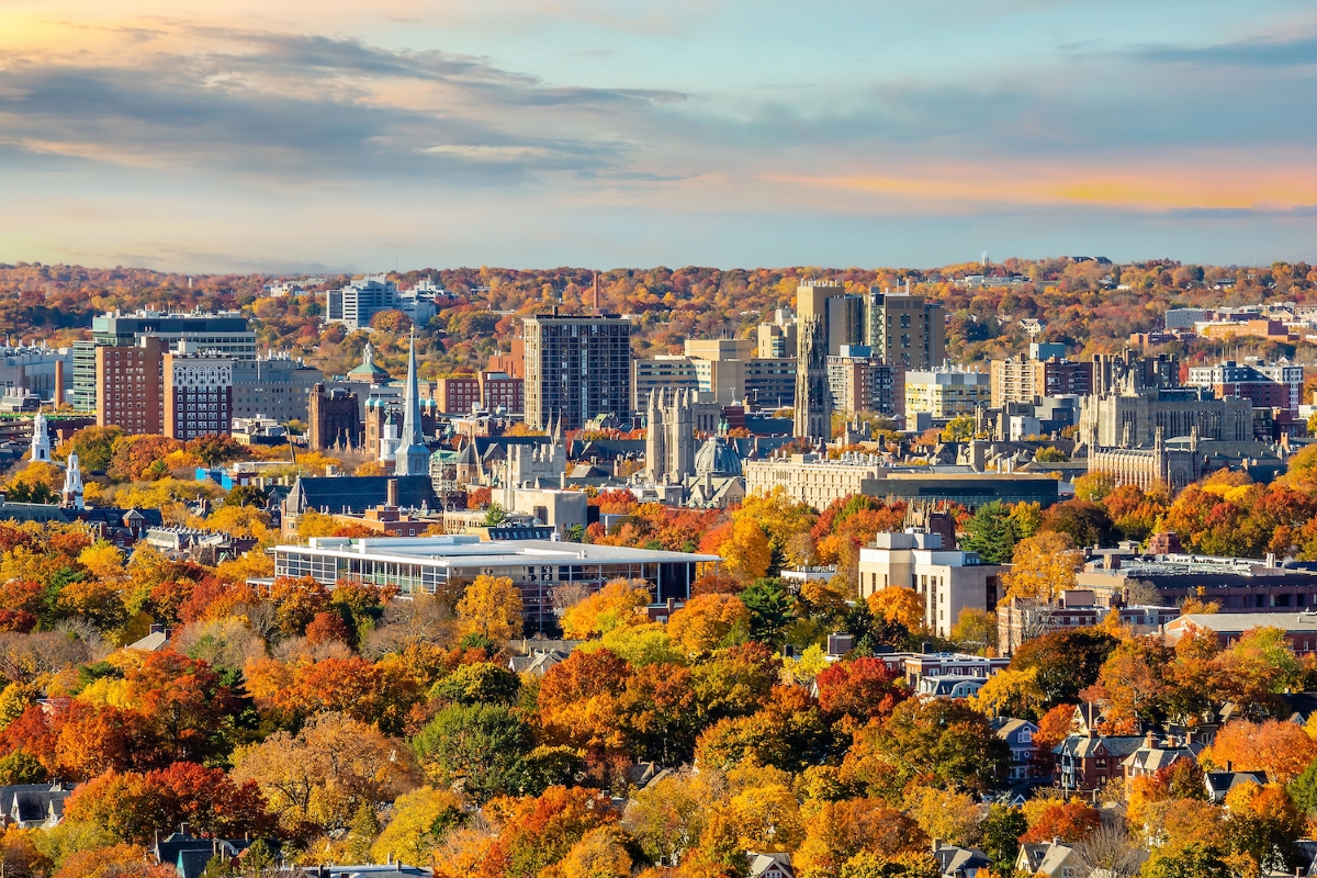 Free Job Posting Sites For New Haven Ct