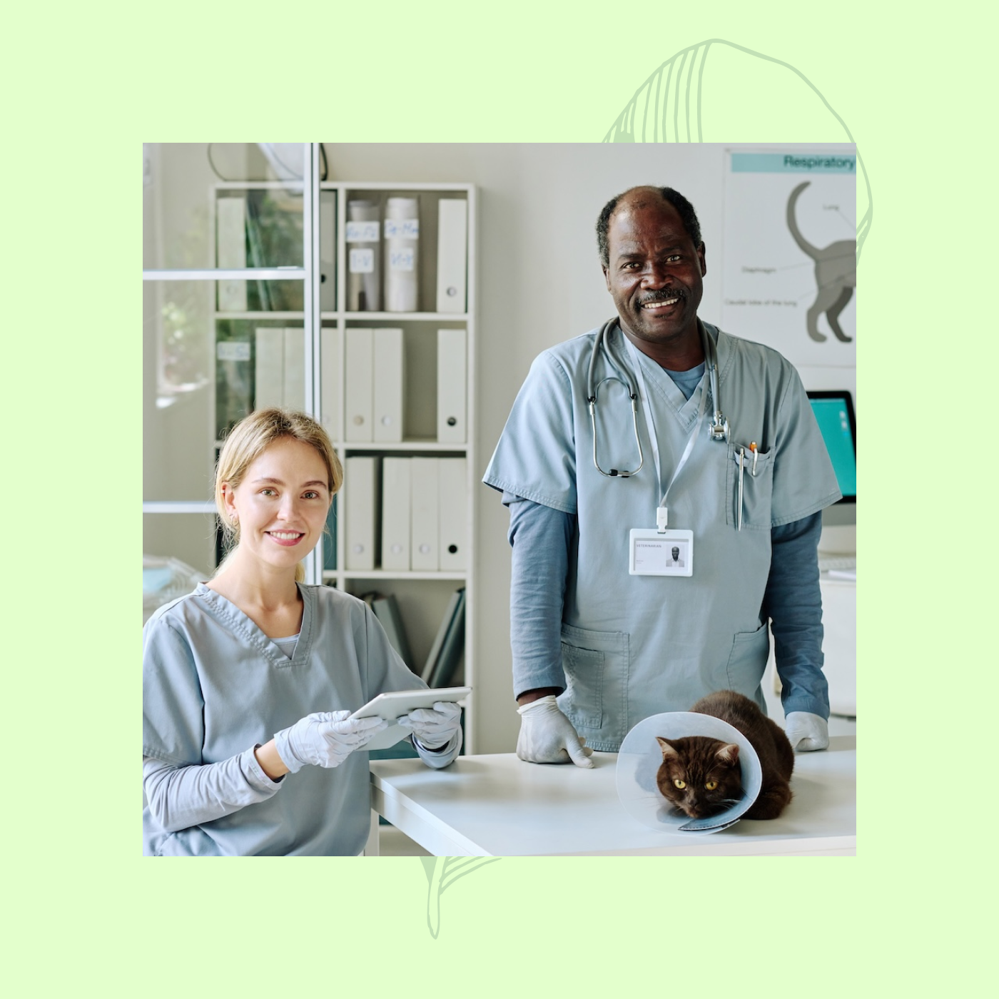 Pet Care Solutions