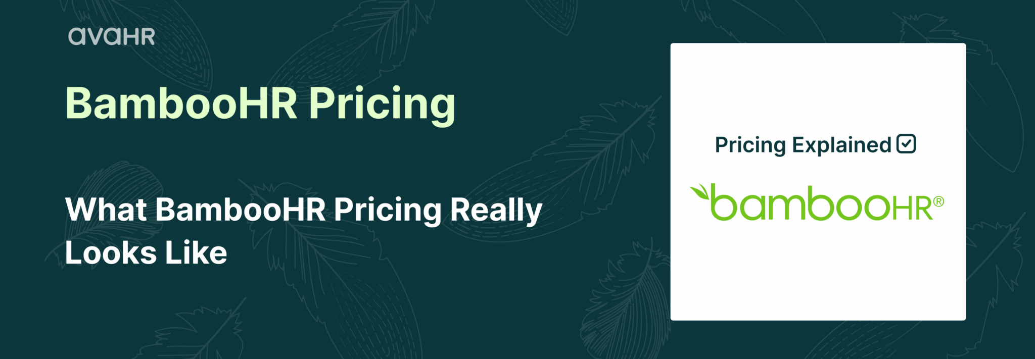 Wide cover image showing what BambooHR pricing really looks like, with breakdown of true costs.