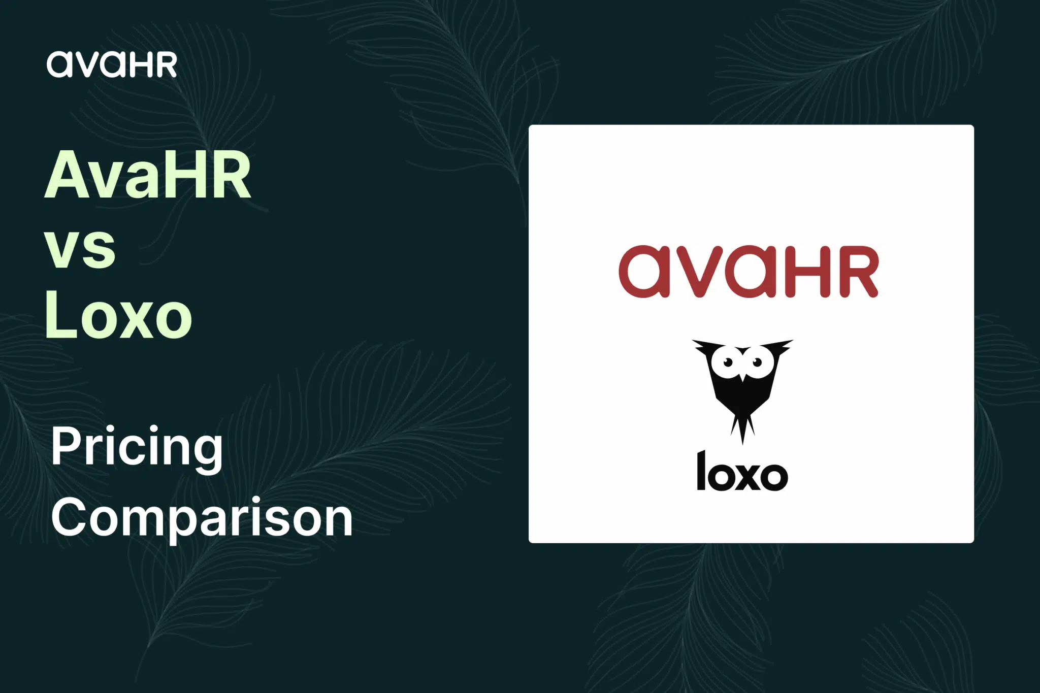 Avahr Vs Loxo Pricing Comparison Square