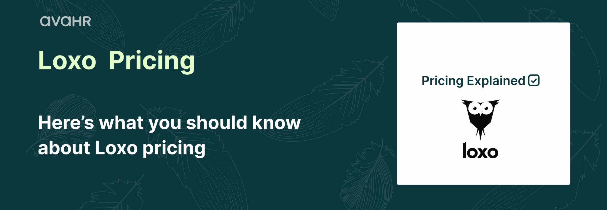 Loxo pricing explained banner with AvaHR branding and text ‘Here’s what you should know about Loxo pricing,’ highlighting ATS pricing details for recruiters and hiring teams.