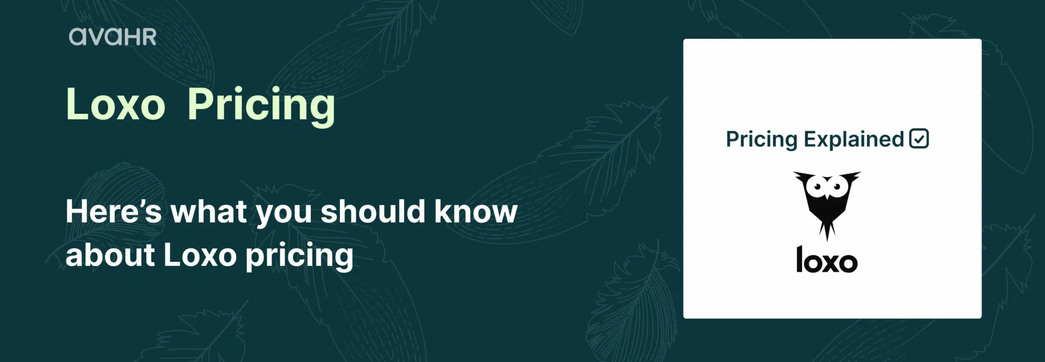 Loxo pricing explained banner with AvaHR branding and text ‘Here’s what you should know about Loxo pricing,’ highlighting ATS pricing details for recruiters and hiring teams.