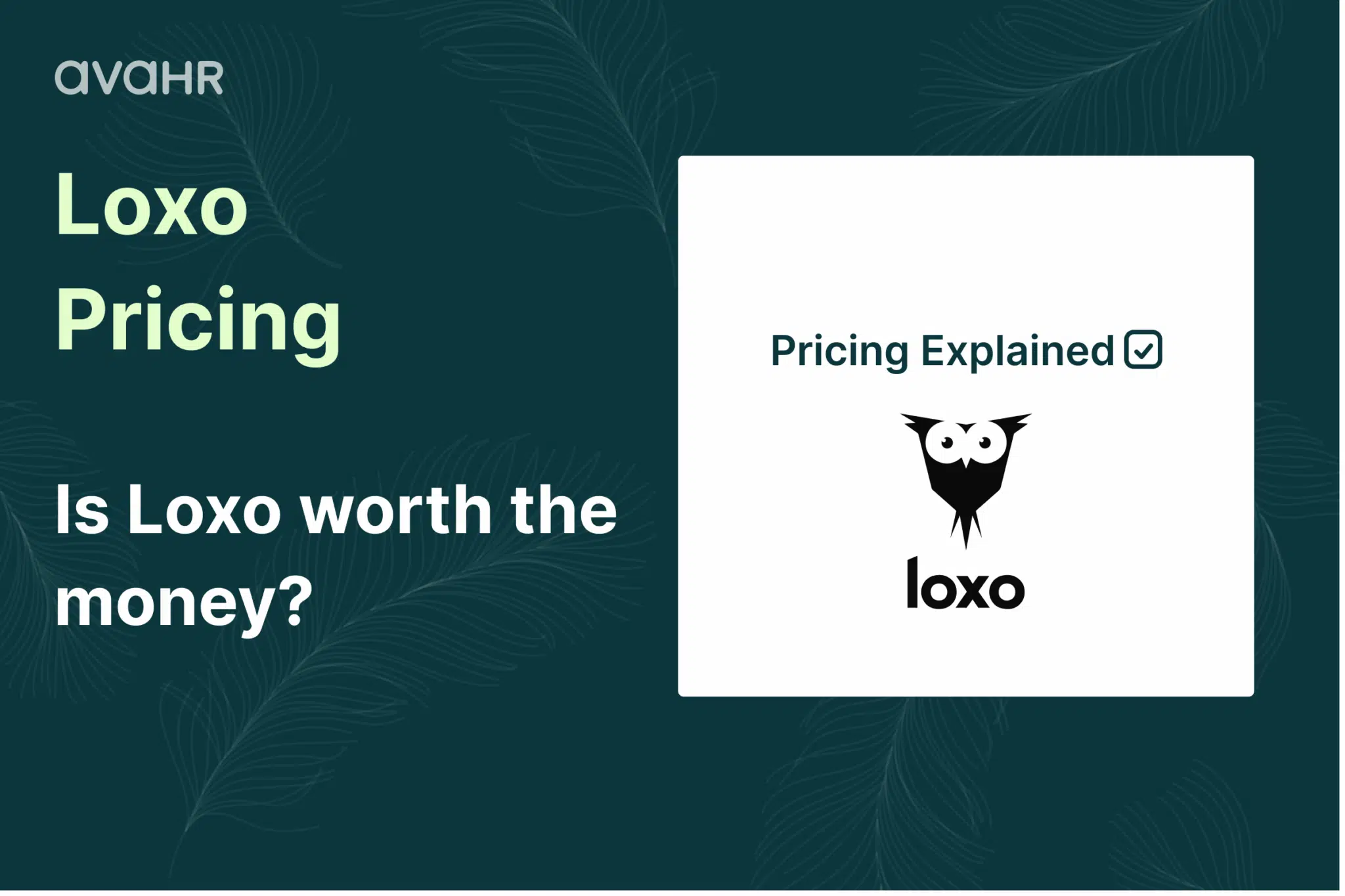 Loxo Pricing Overview Is Loxo Worth The Money Avahr